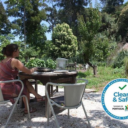 Ribeira Dos Marinheiros Azul Apartment ซินตรา ภายนอก รูปภาพ