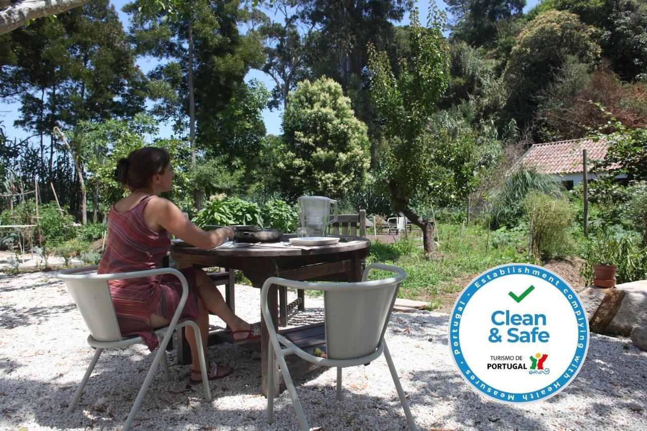 Ribeira Dos Marinheiros Azul Apartment ซินตรา ภายนอก รูปภาพ